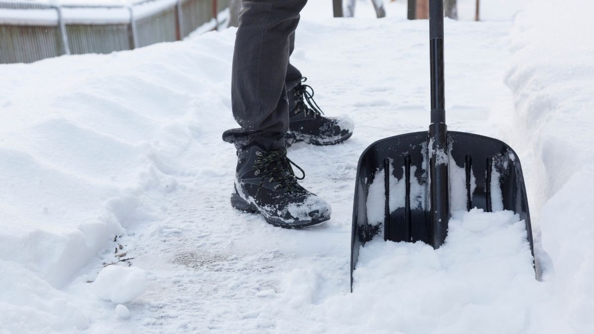 SHOVELING and Lower Back Pain